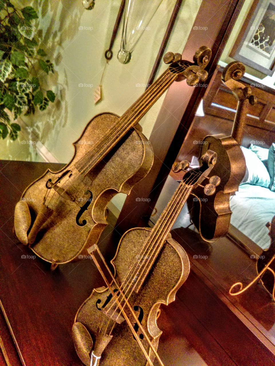 Fancy Violins