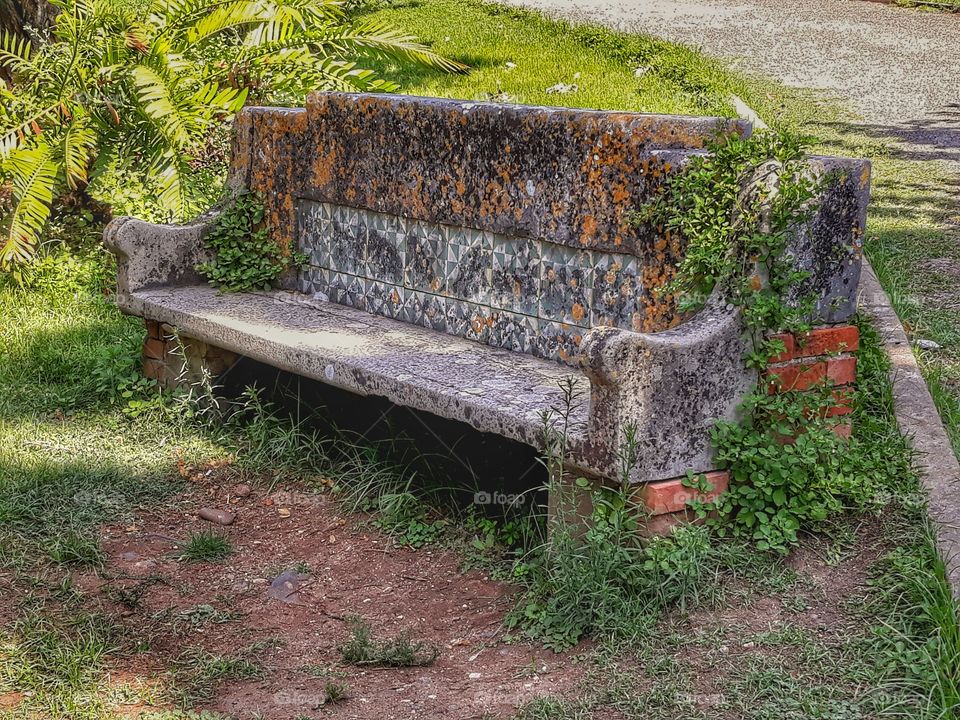 old bench in botanic garden