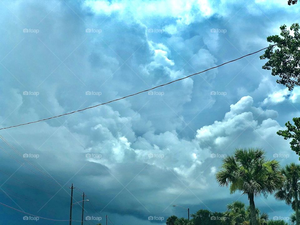 Clouds forming and palm trees on small island in Florida 