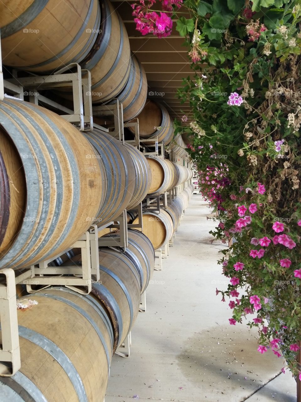 Barrel, Winery, Keg, Wine, Basement