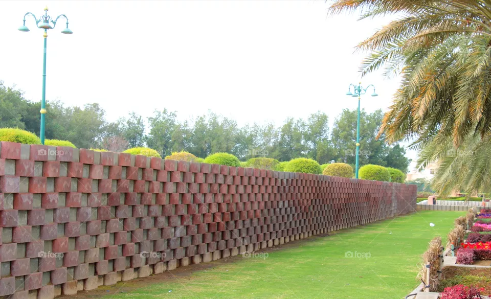 Wall