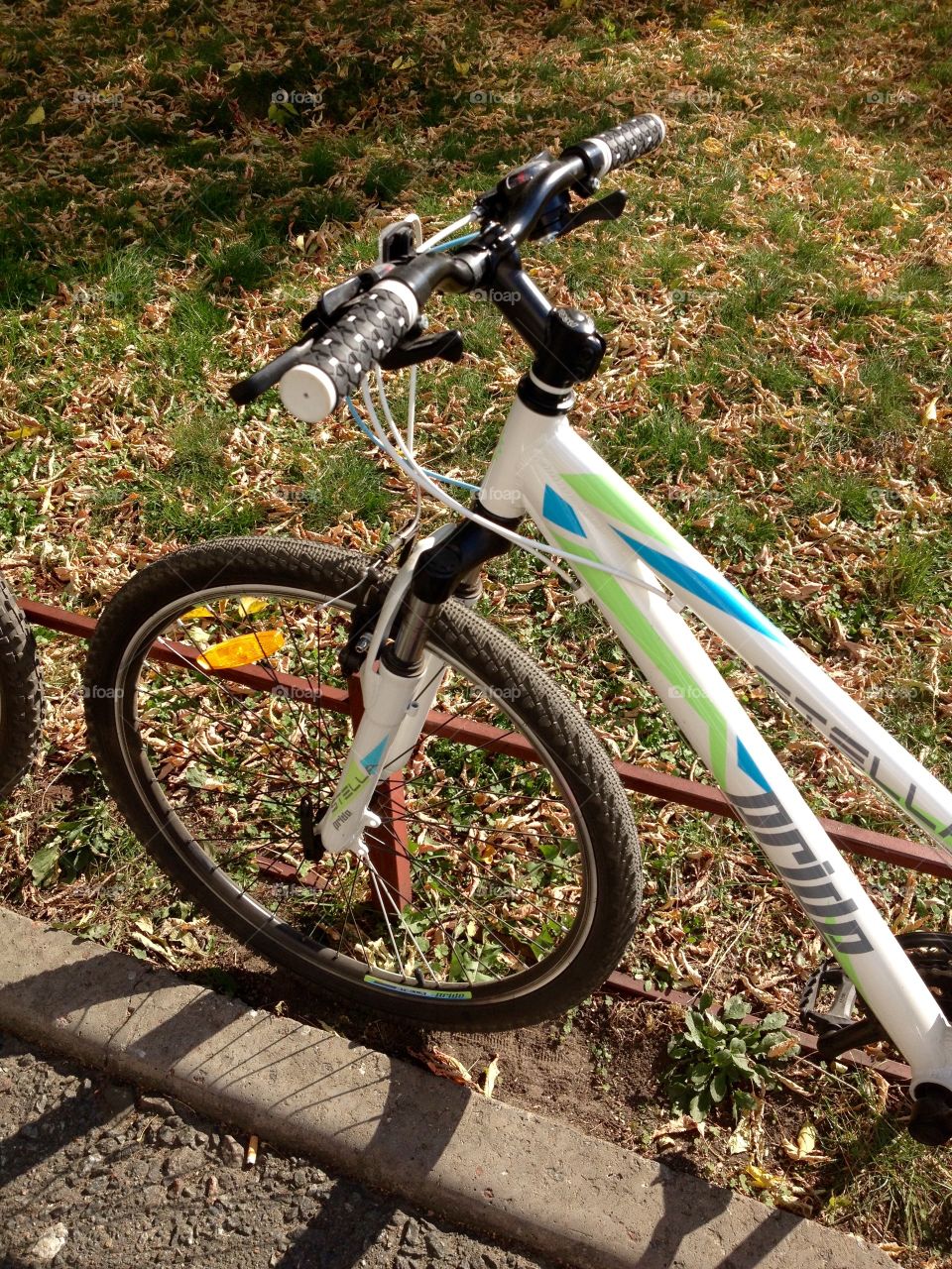 Sportive bicycle near grass in summer