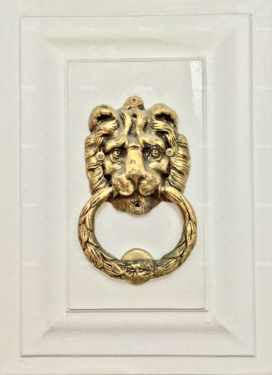 Lion knocker ring doorbell
