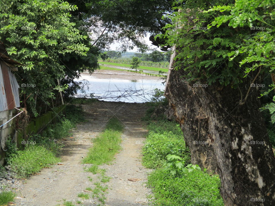 path