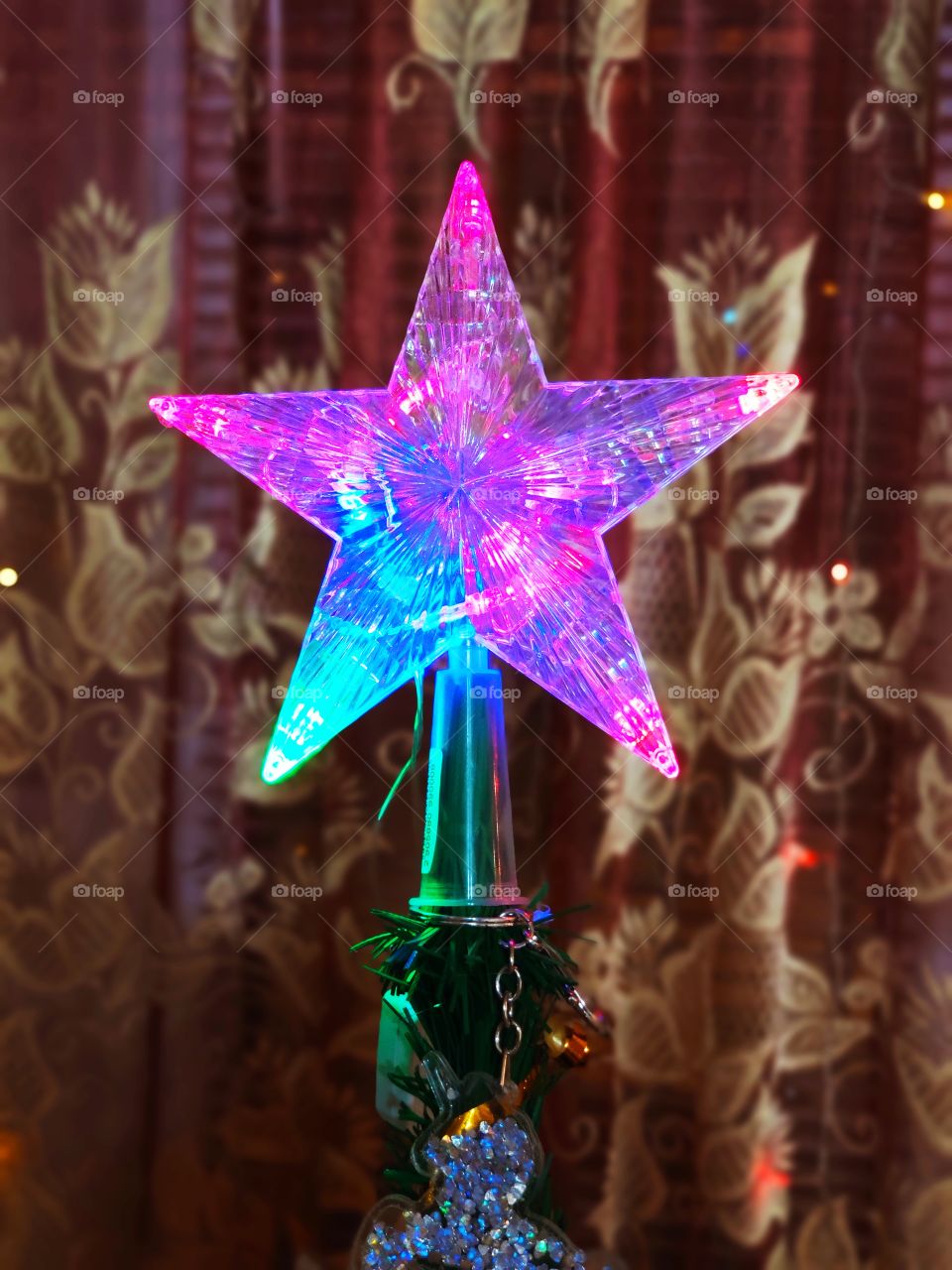 Christmas star