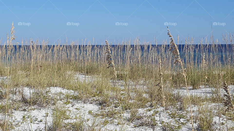 beach view