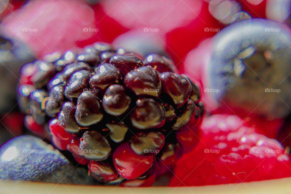 blackberry upclose