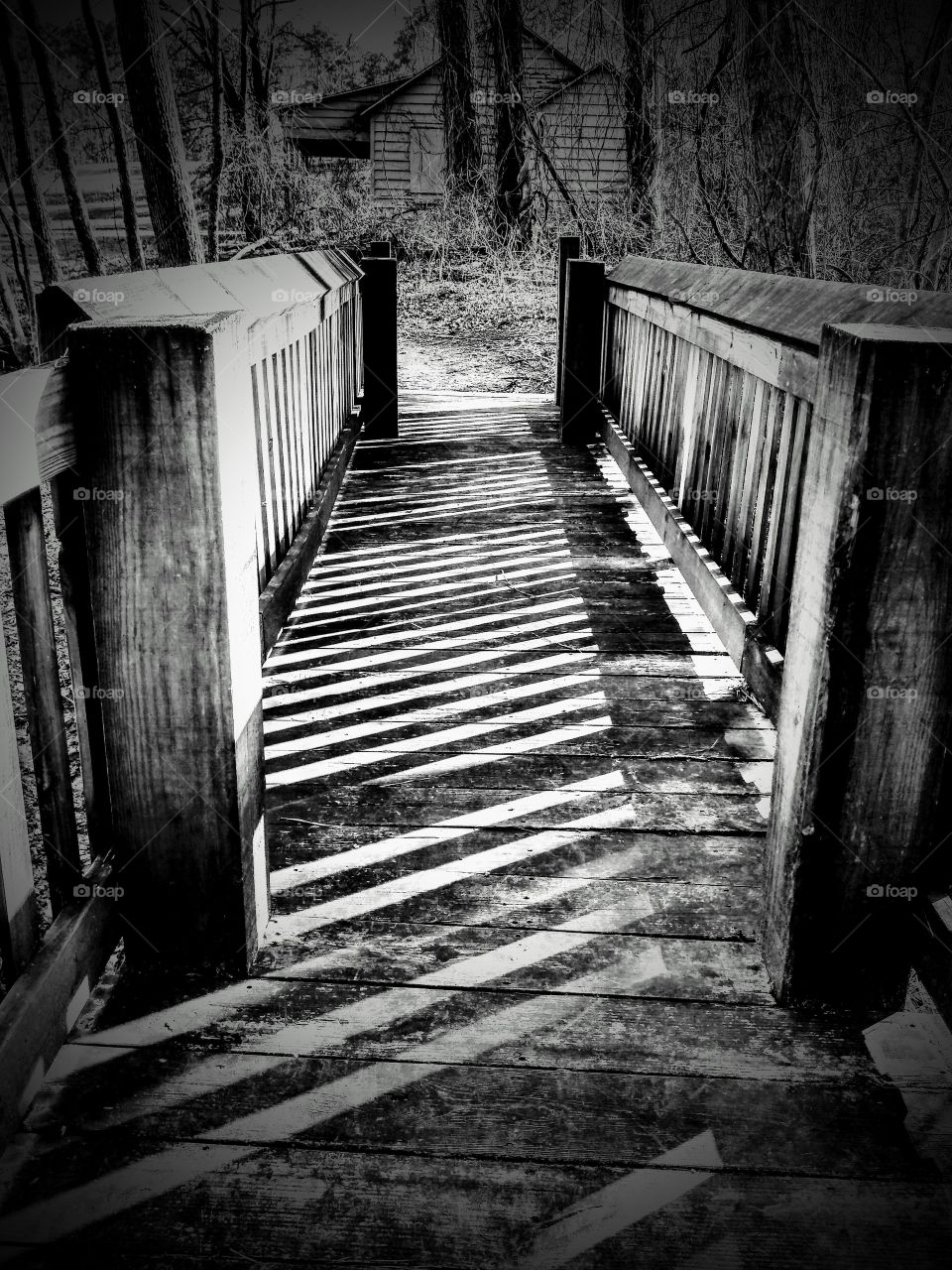 bridge to nowhere