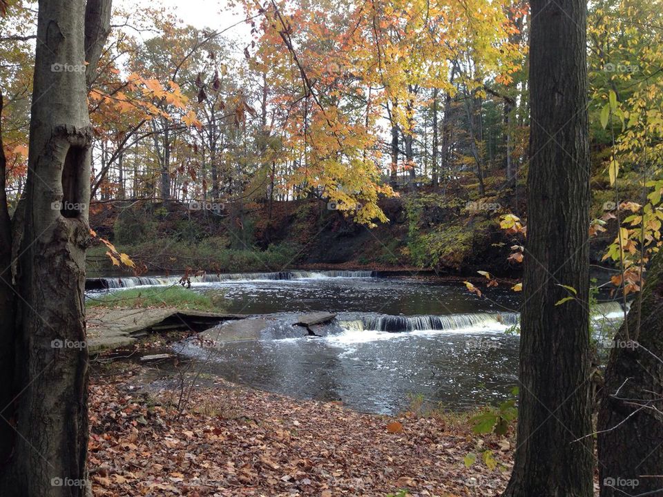 Fall stream