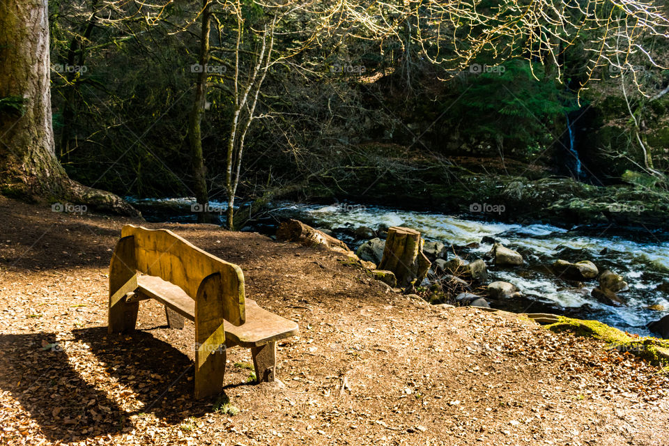 bench overlooking the Braan