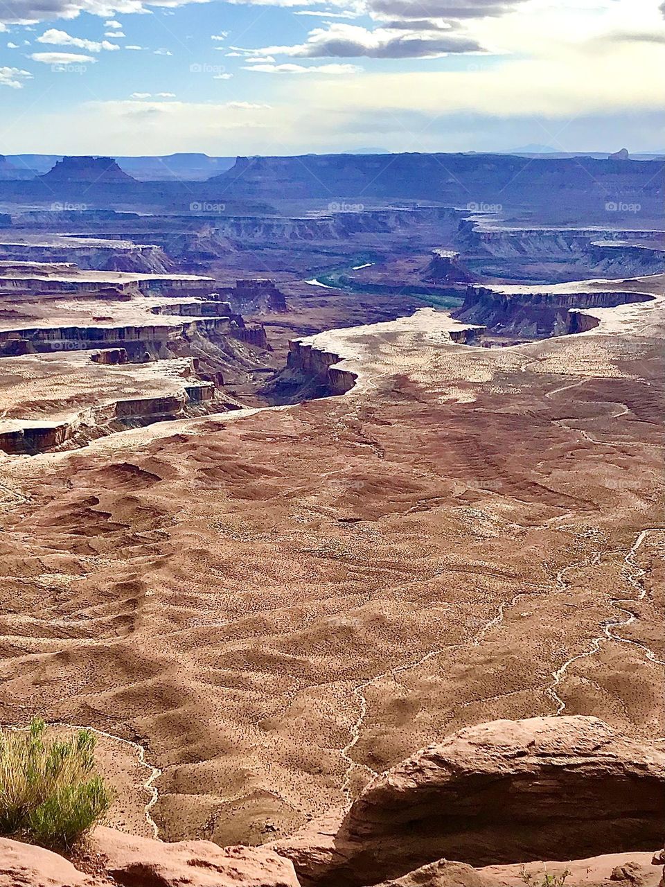 Bare Earth Landscape 