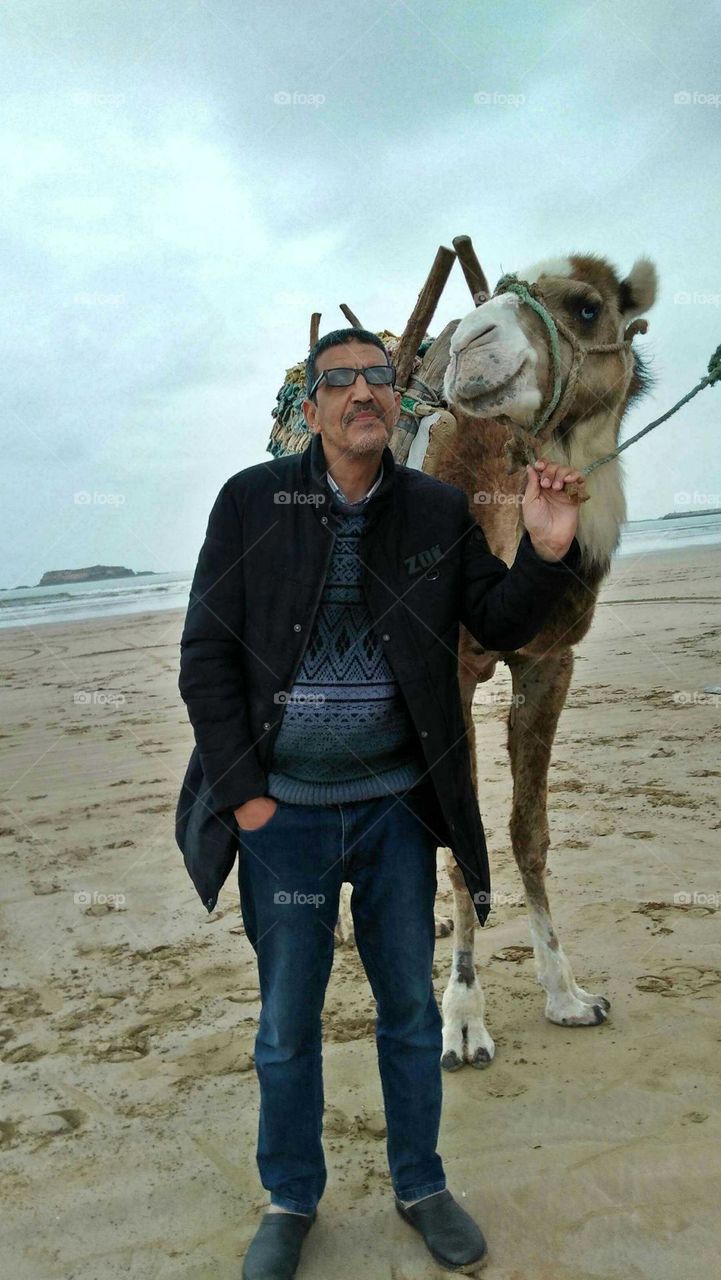 I'm with my favourite camel near the beach.