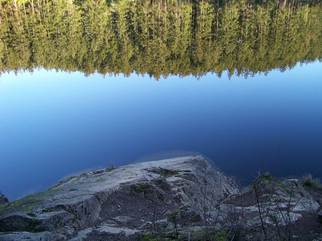 reflection