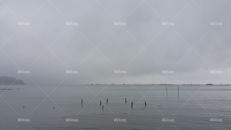 Water, Fog, Sea, Landscape, Lake