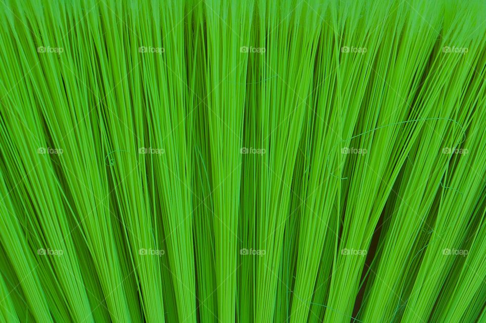 A closeup of the green bristles on a broomstick.