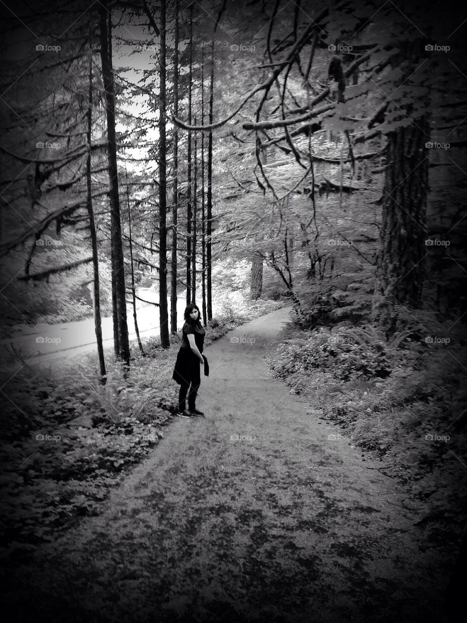 Path in the woods