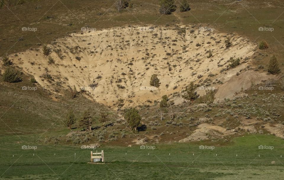 A green pasture fresh in spring with a hillside in Eastern Oregon on a beautiful morning. 