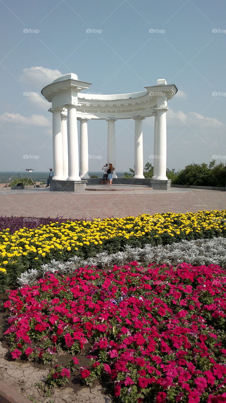 Flower, No Person, Garden, Summer, Outdoors