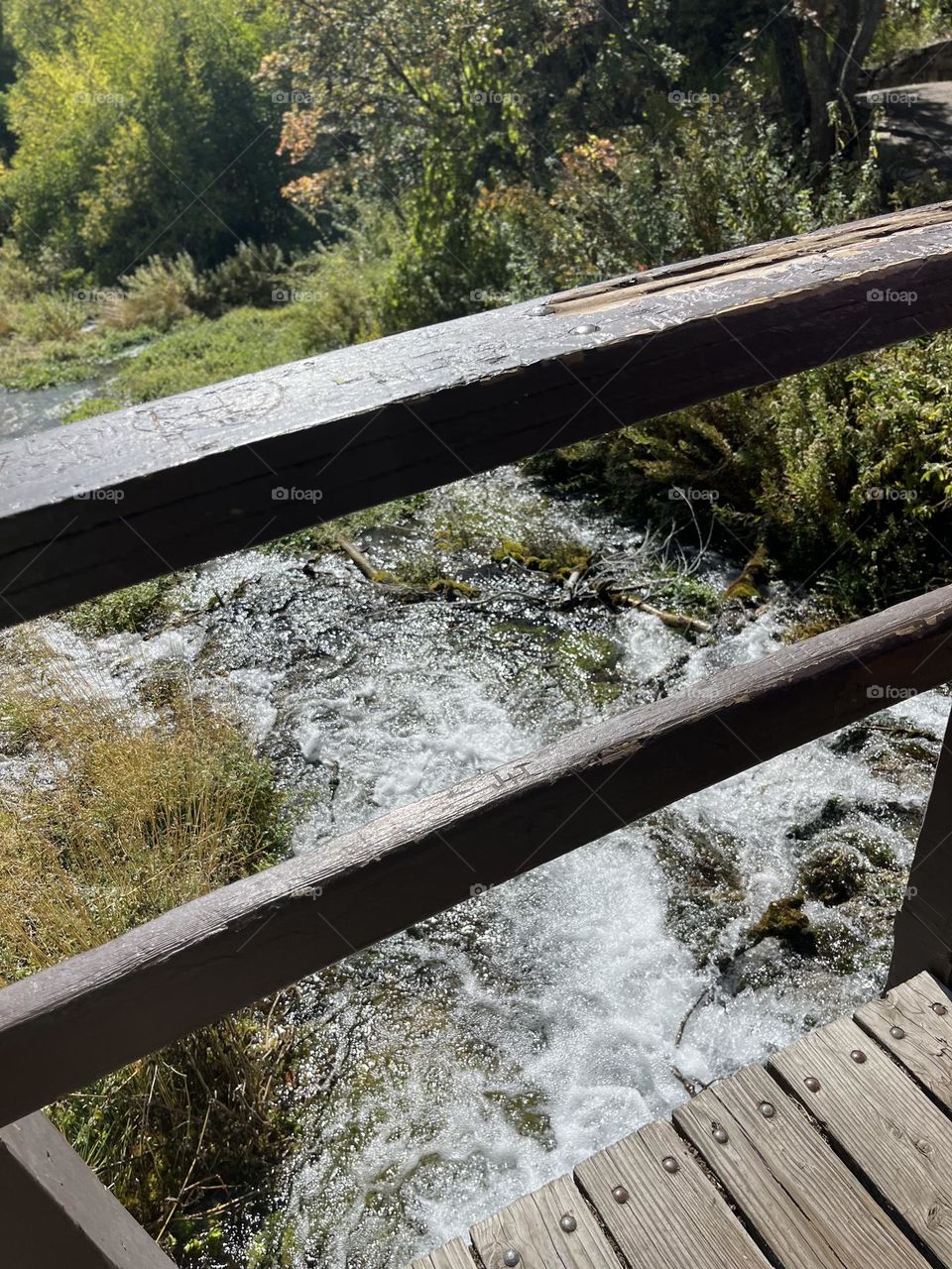 What a beautiful picture 