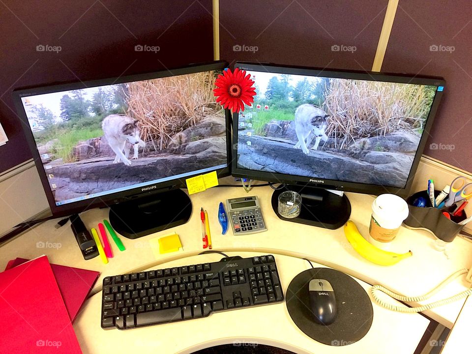 Working desk from above 