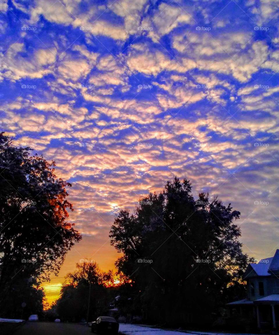 Colorful Morning in Town On the First Snow on Winter "Sprinkled Cotton Ball's"