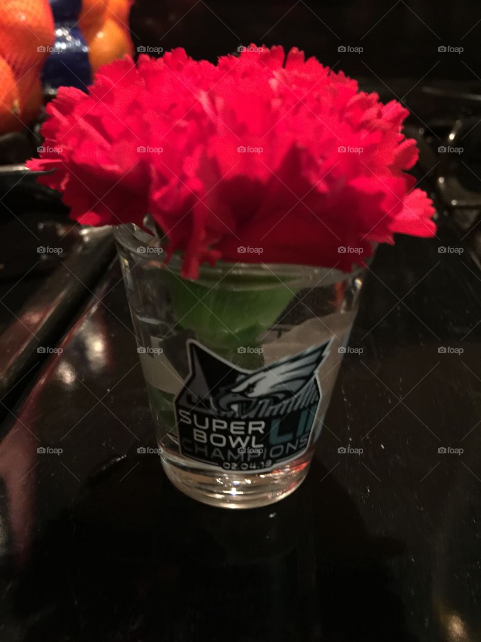 Red carnation so pretty and eagles take the win