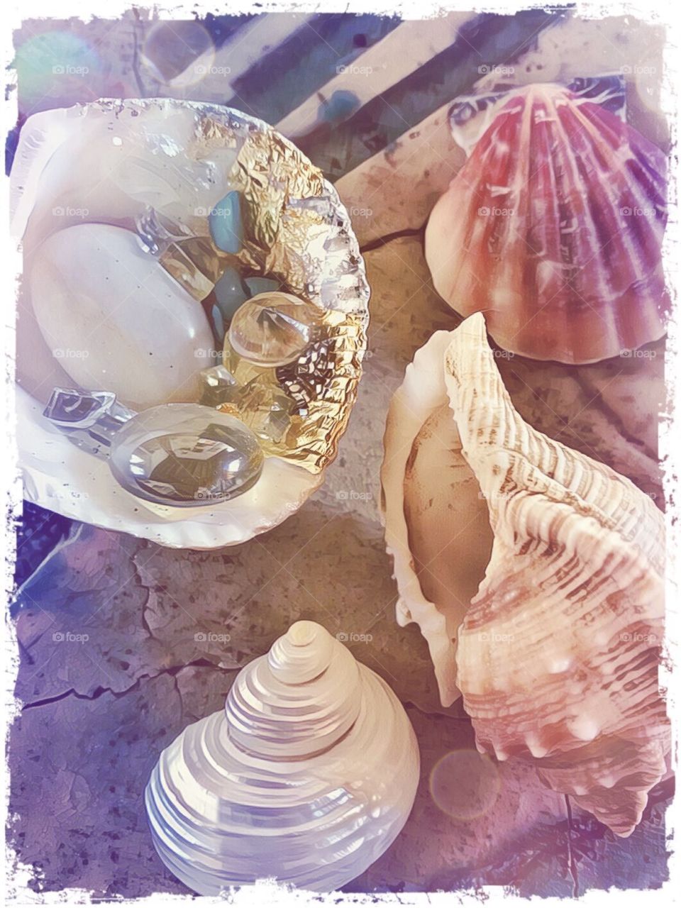 Close up watercolor seashells 