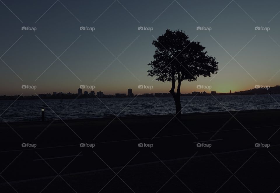 Riverside’s sunset near the Swan river. It can be seen skyscrapers and a tree. Stunning colour tone was there.