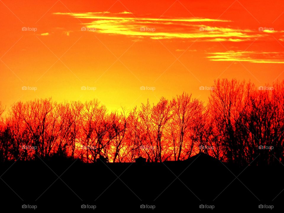 Orange sky