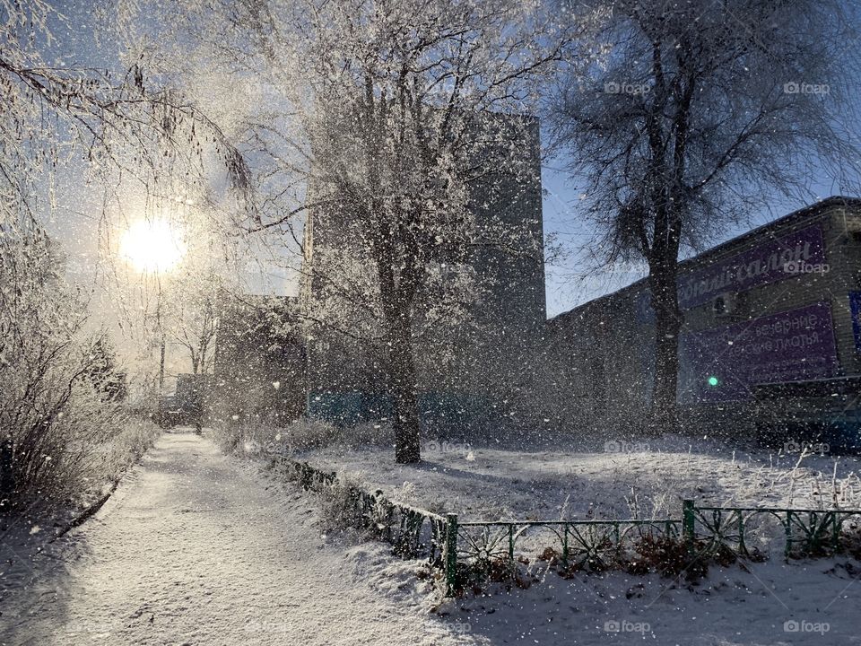 First day of winter. Blowing naughty wind and snow fell from the trees as if a blizzard began