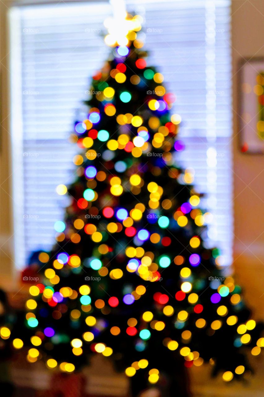 Oh Christmas Tree....