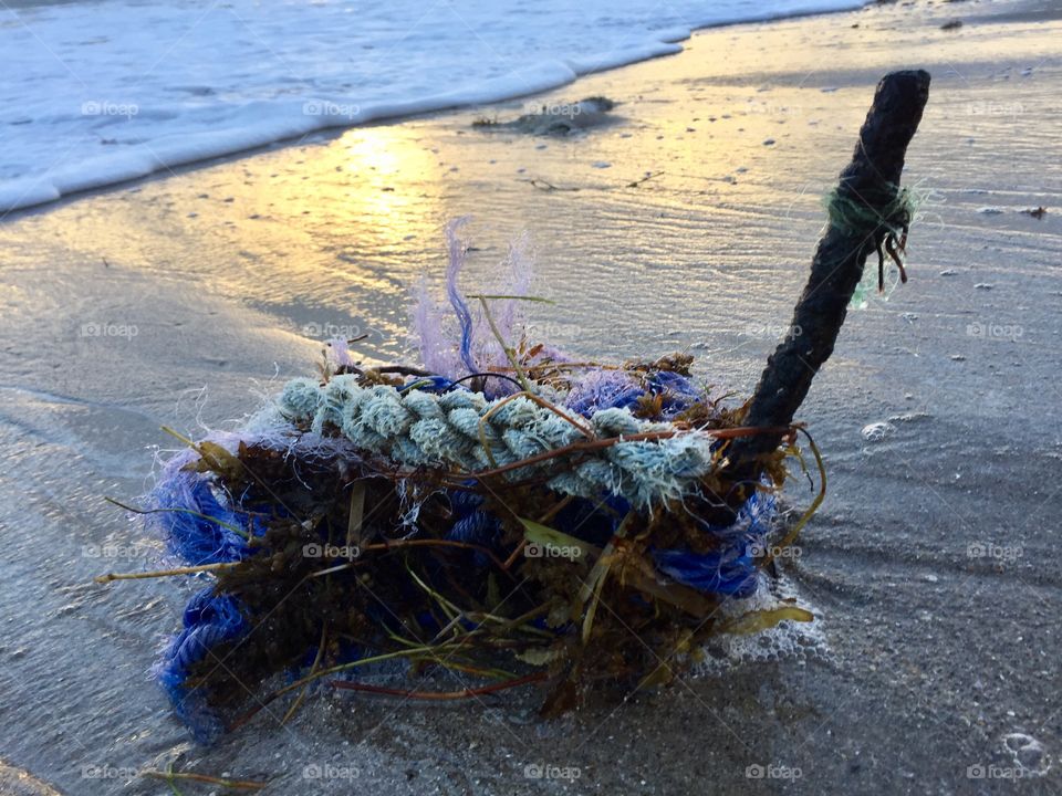 Storm debris, rope on the beach. Beautiful colors. 