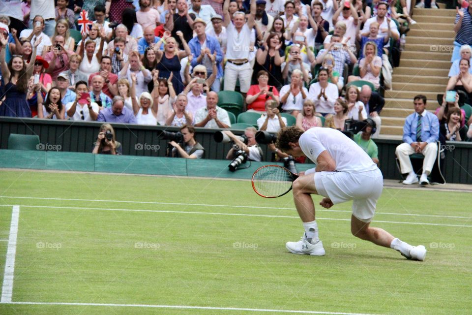 Andy Murray Winning Wimbledon 