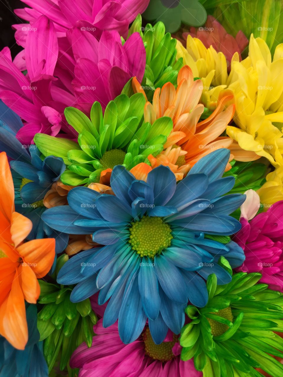 Assortment of vibrantly colorful flowers of blue, pink, green, orange and yellow.