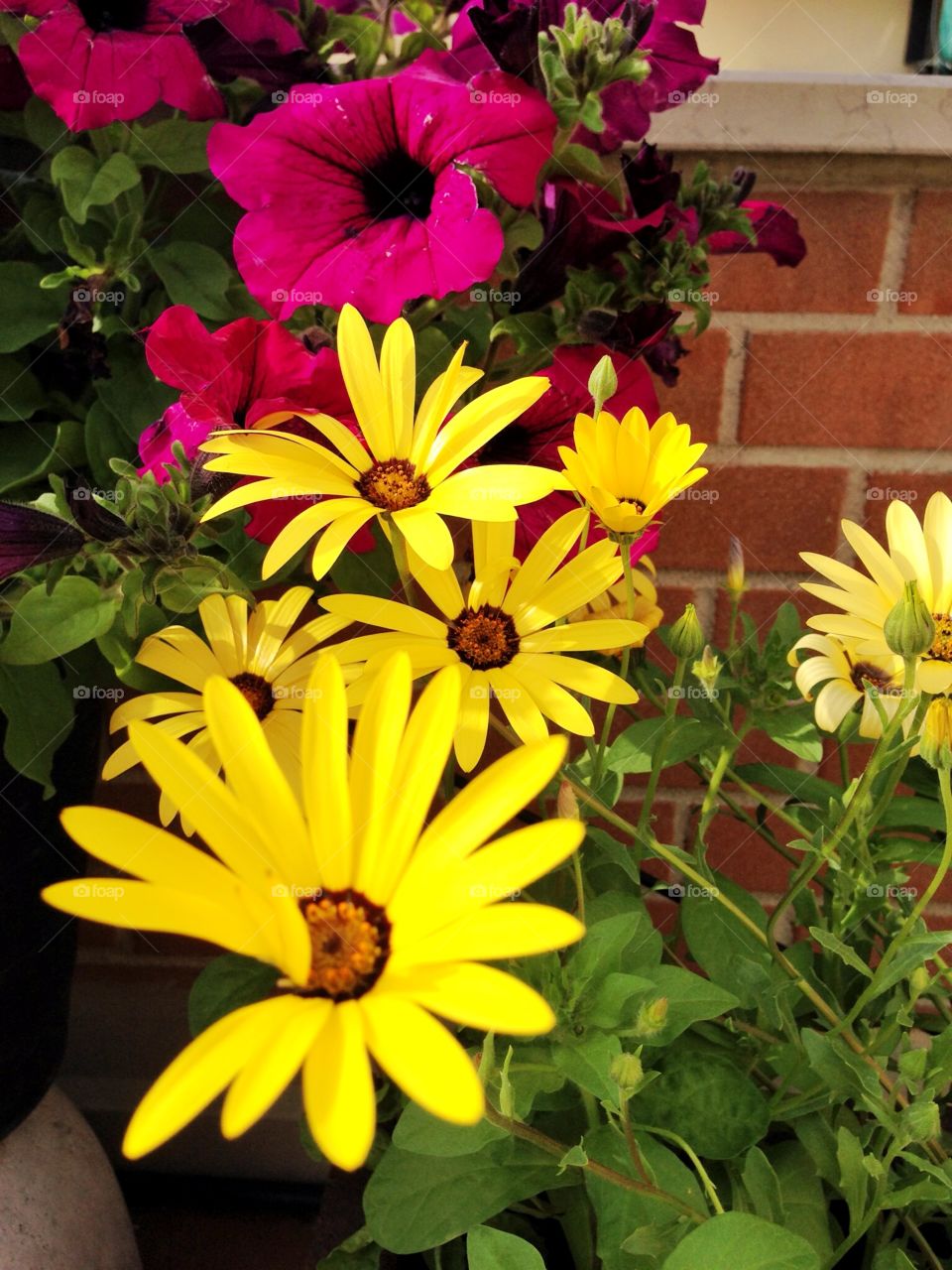 Flowers. Yellow flowers in the vase