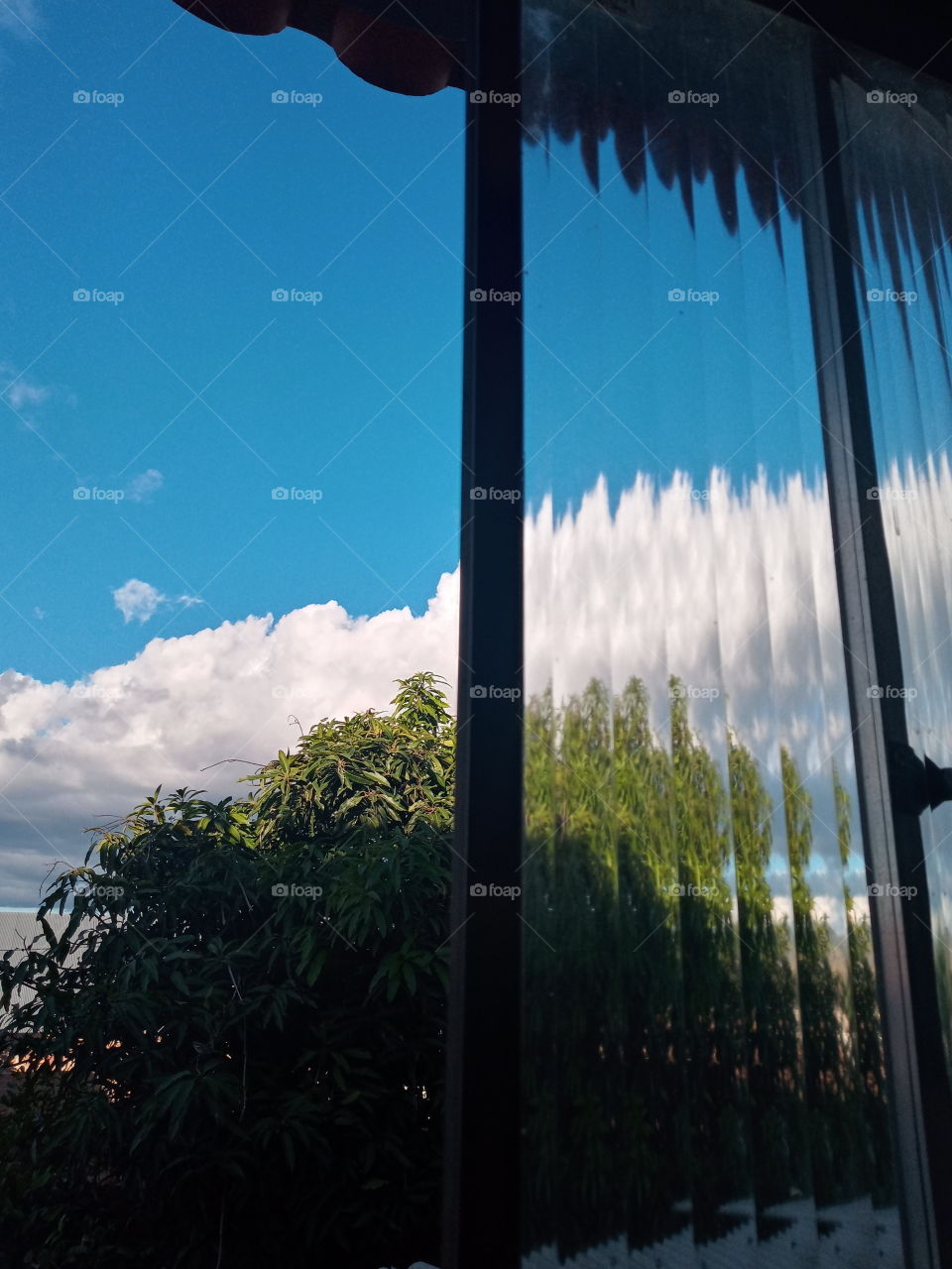 linda imagem com ar de simplicidade