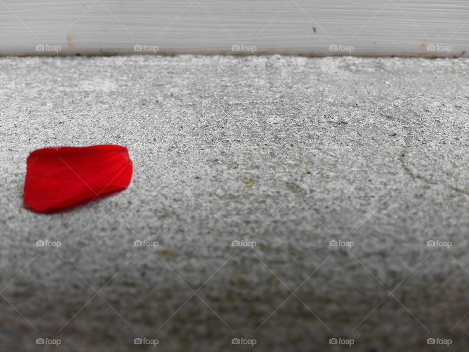 red petal