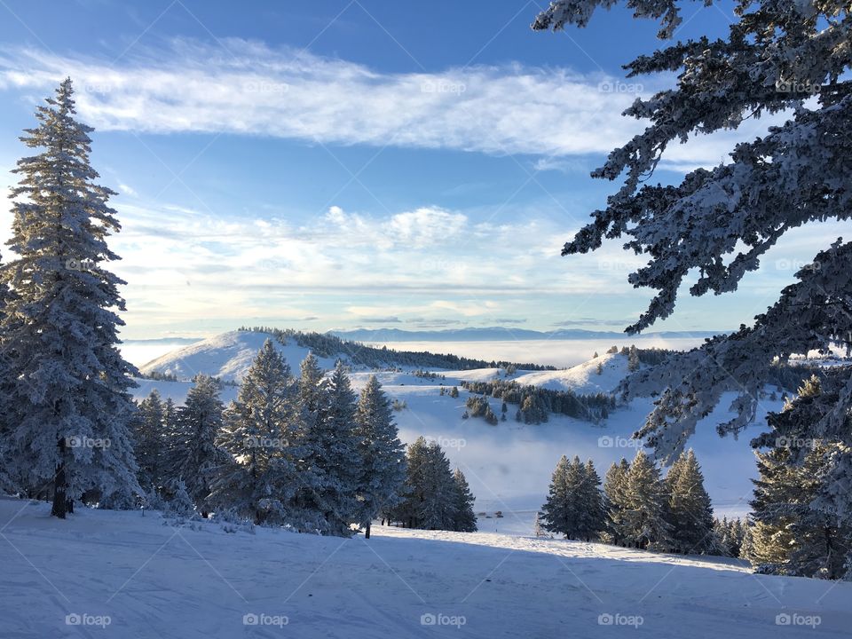 Scenic view in winter