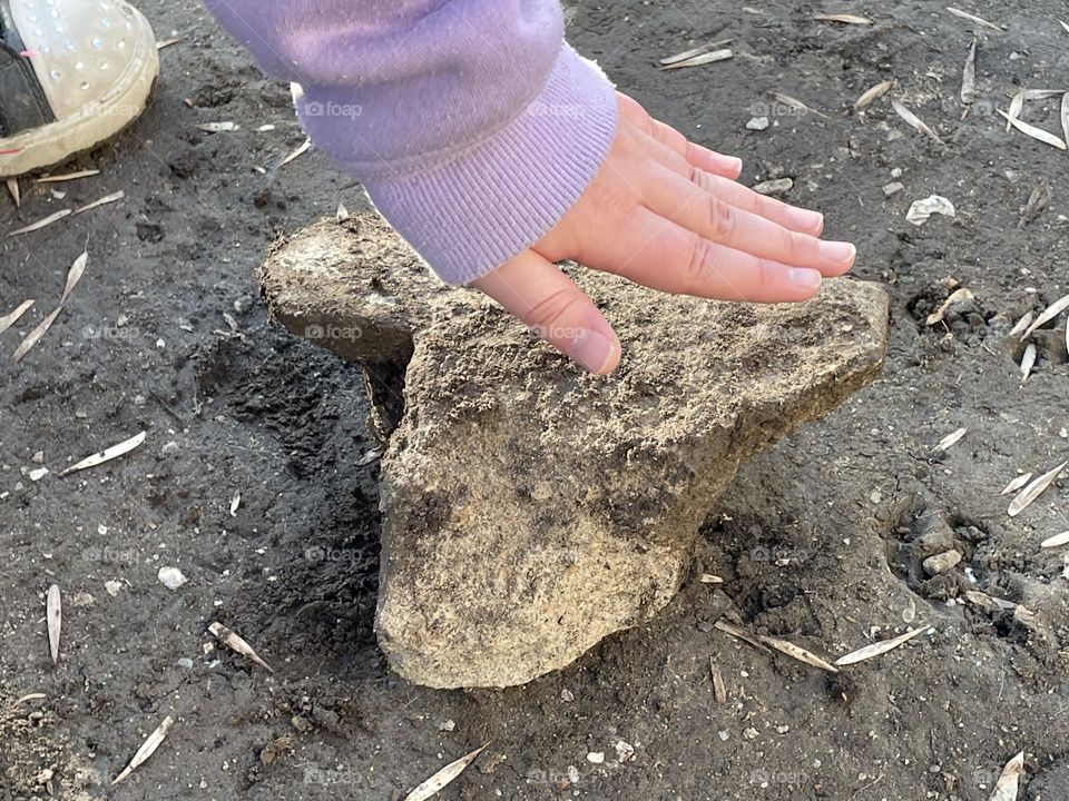 This heart shaped piece of cement was dug out of the dirt, the girl’s hand is just showing how big it was.