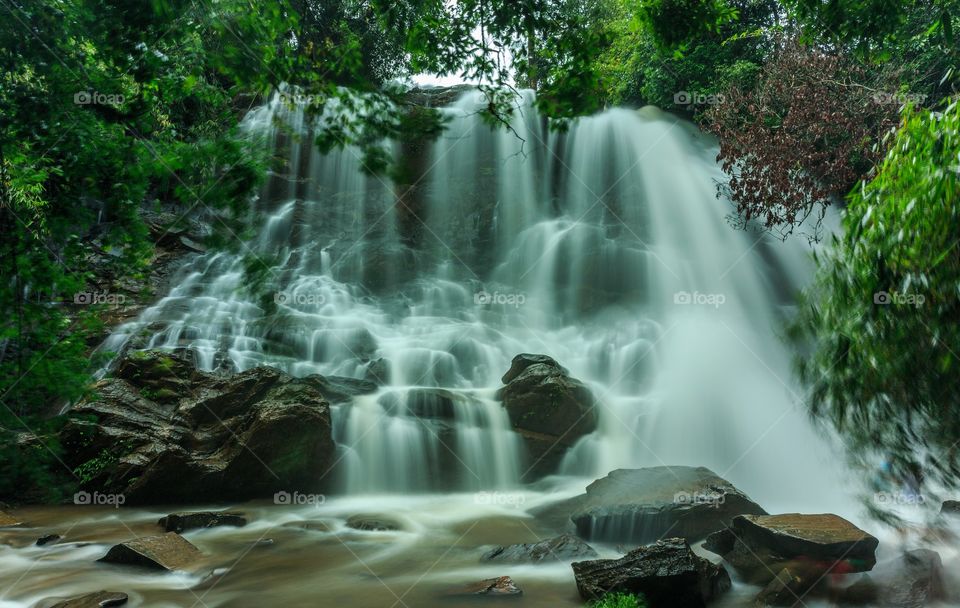 mesmerizing waterfall flowing peacefully