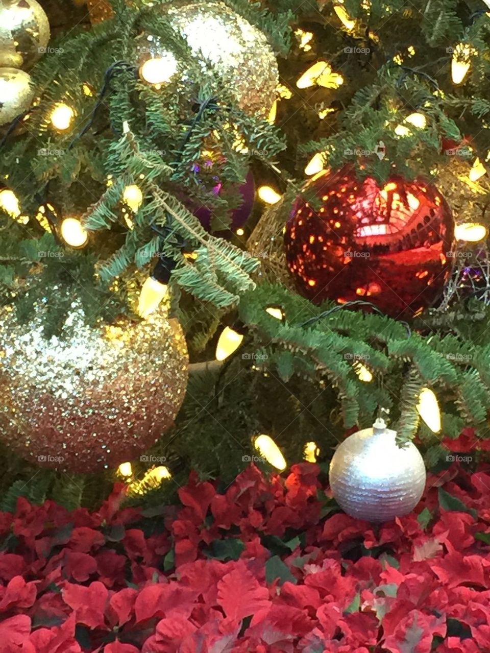 Christmas tree and poinsettias 