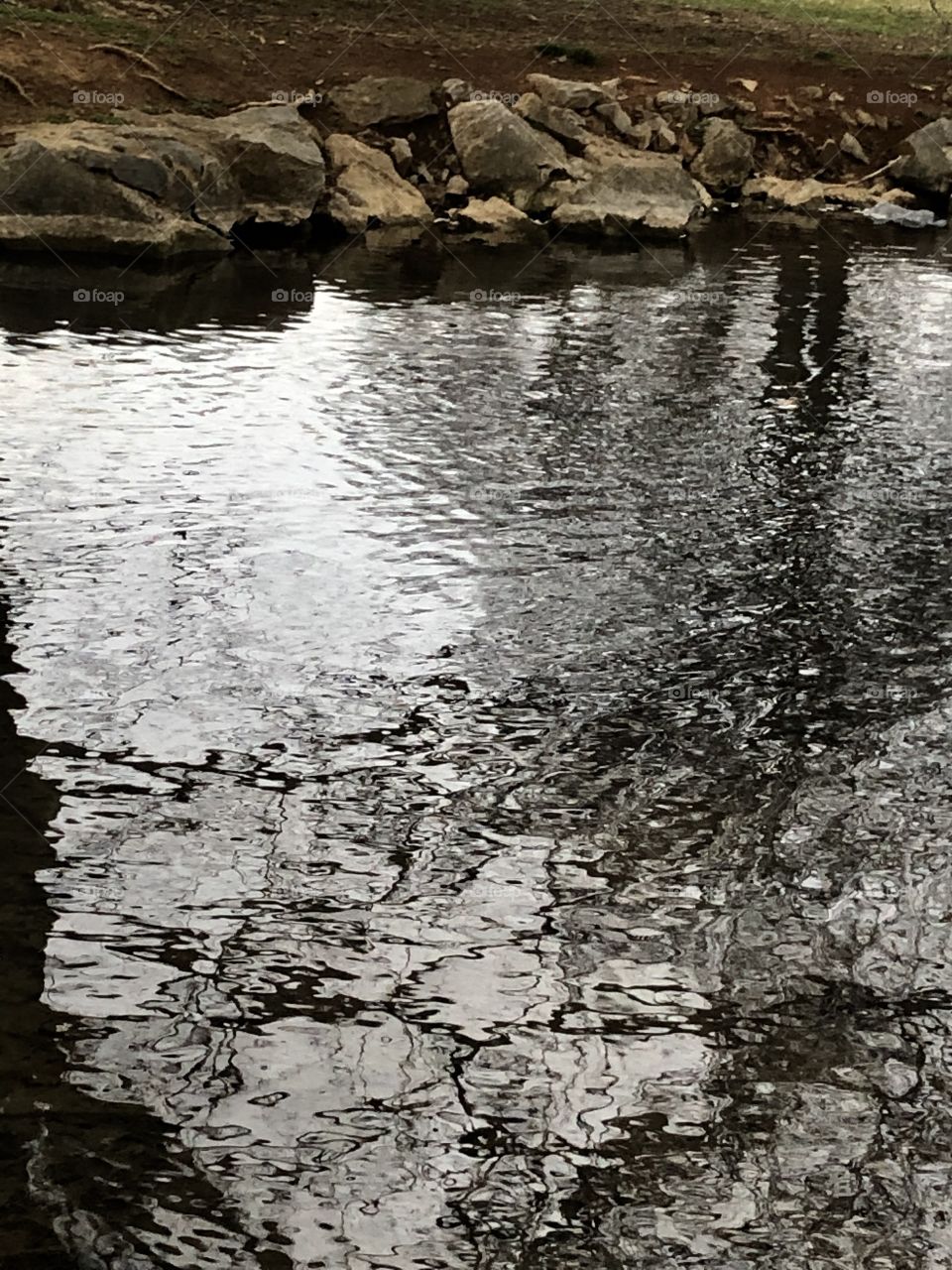 Water ripples in a pond reflecting 