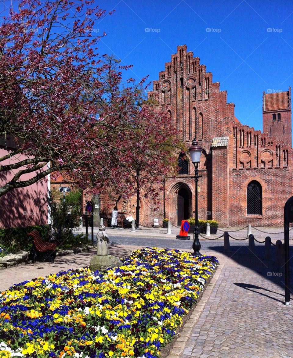 flowers tree trees parks by asa