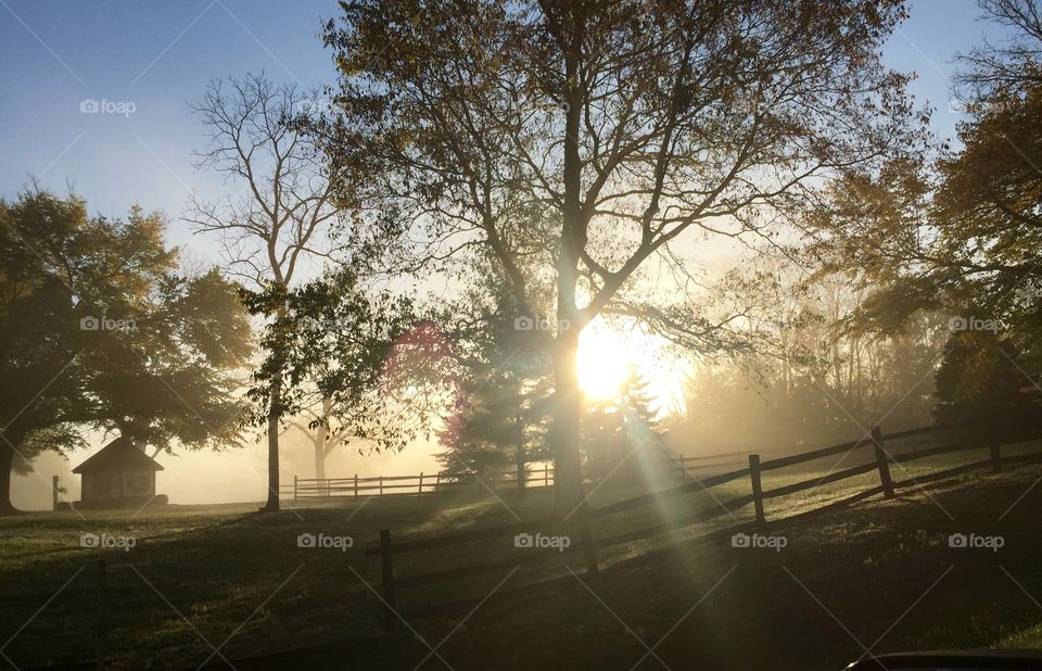 This was captured in New Richmond, OH as the sun rose through the fog during a nippy cold morning!