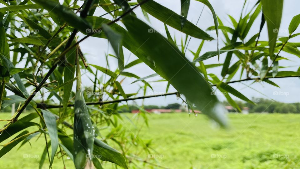 Some pictures at the summer 