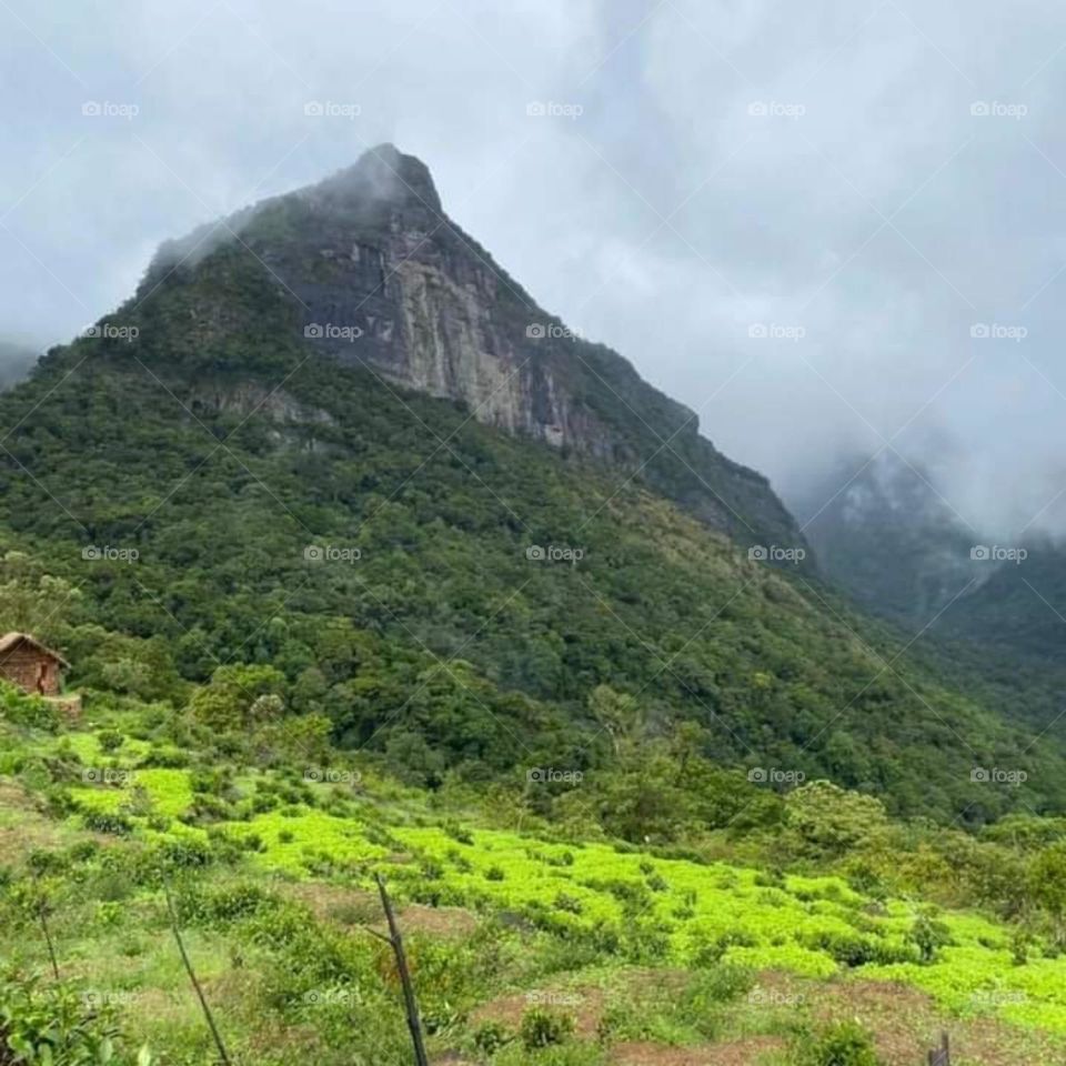 Moning mountain view