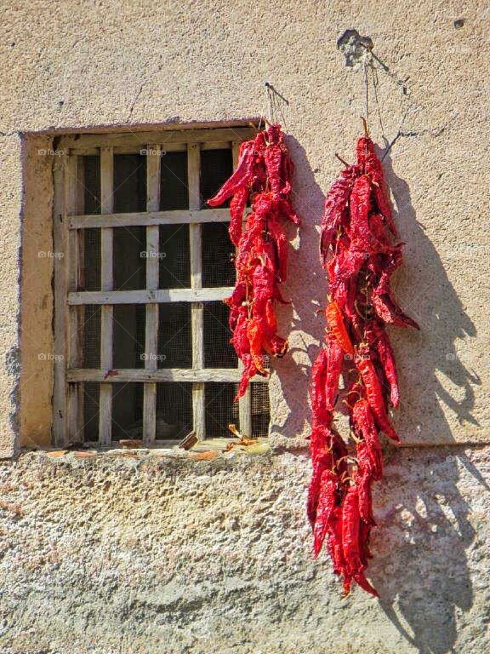 Pepper drying