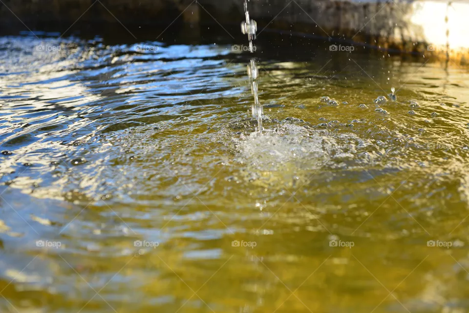 water