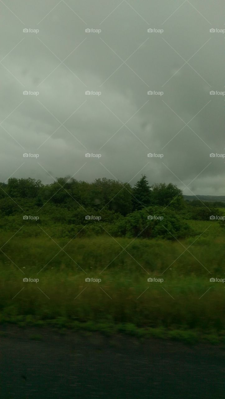 Landscape, Tree, Fog, Light, No Person