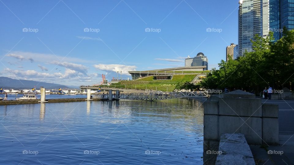 Waterfront and green roof
